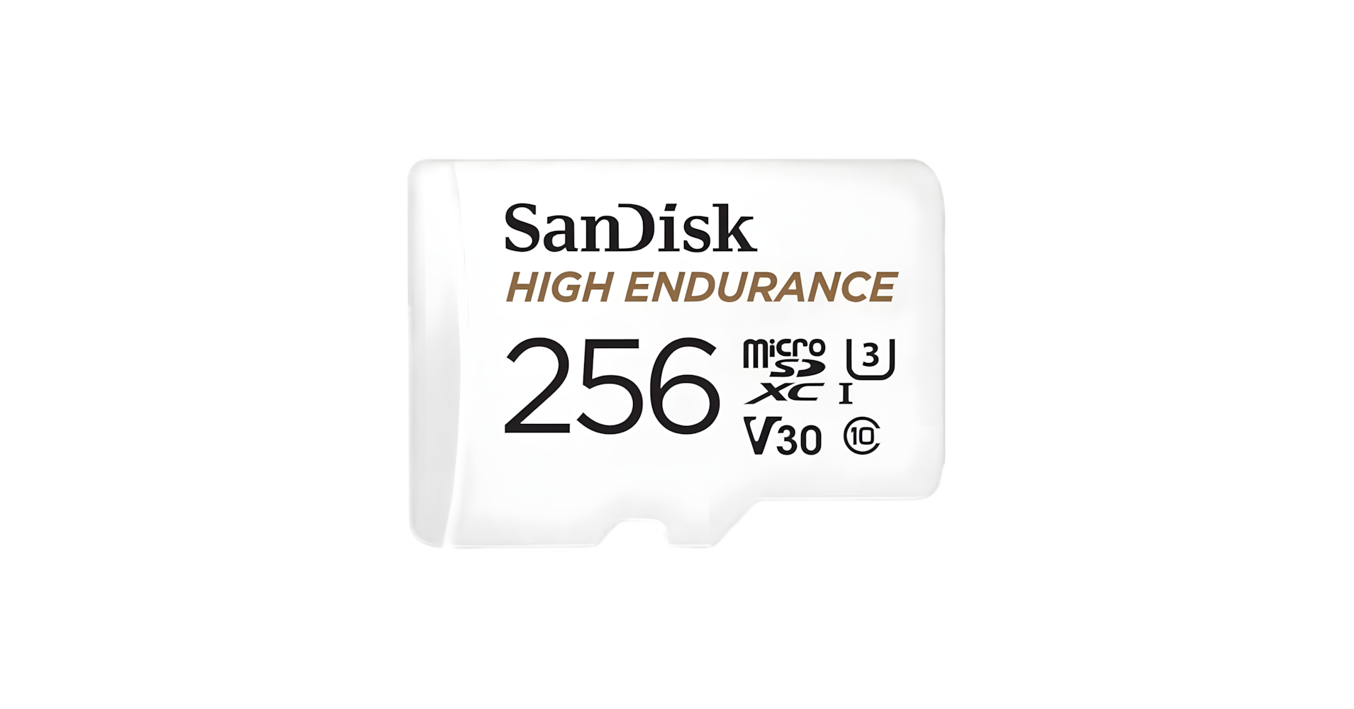 SanDisk 256GB High Endurance